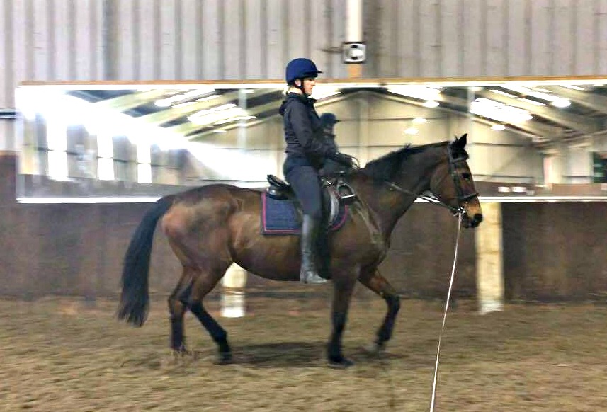 The dreaded rising trot without stirrups – why do it and how it can help you with your riding skills | Official Blog by Aspire Equestrian Riding Academy